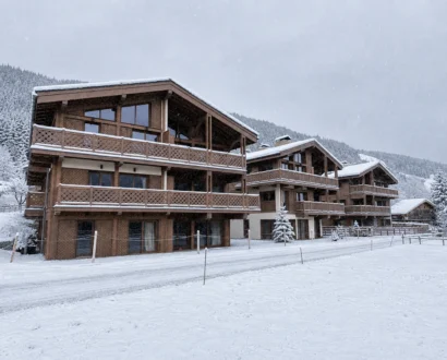 réalisation chalet en montagne 3